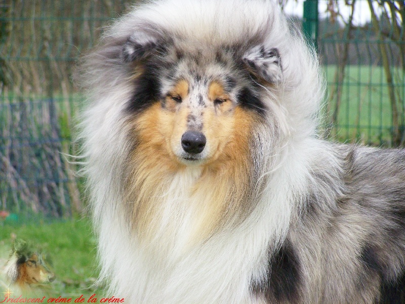 Publication : du domaine des Emeraudes Auteur : cyril