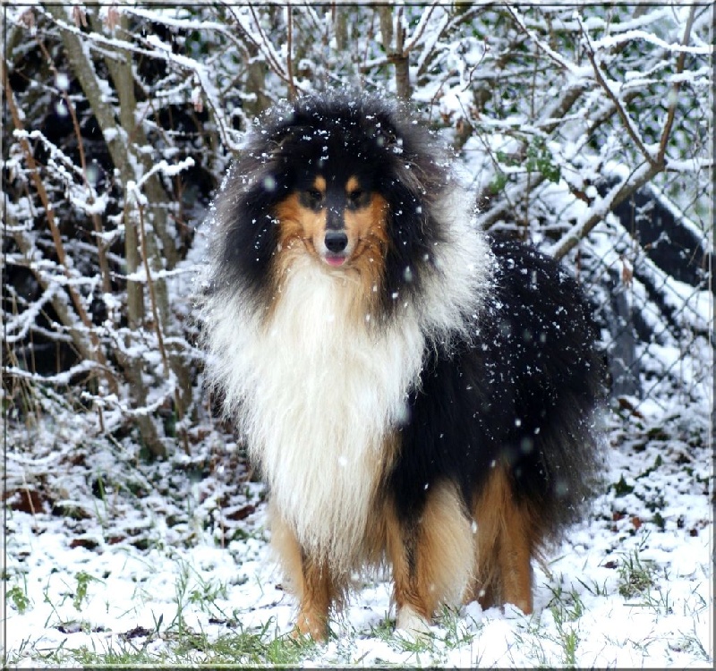 Publication : du domaine des Emeraudes Auteur : cyril