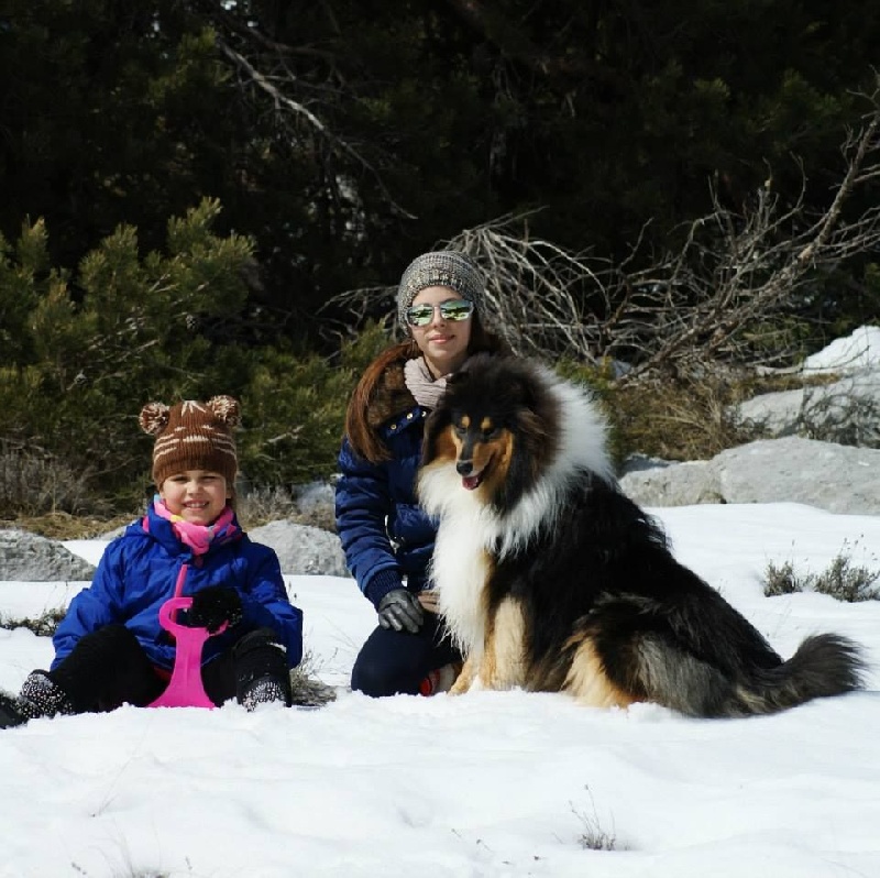 Publication : du domaine des Emeraudes Auteur : cyril