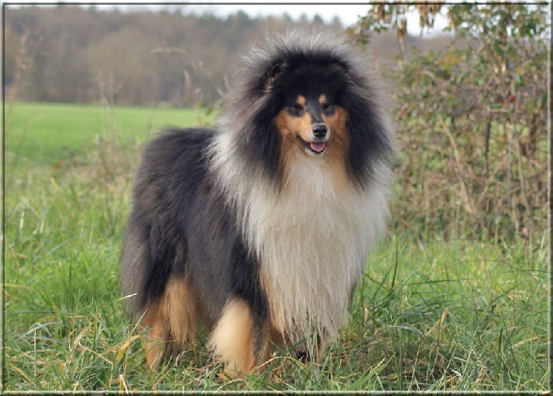 Publication : du domaine des Emeraudes Auteur : cyril