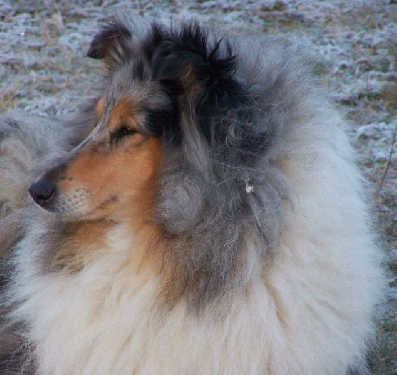 Publication : du domaine des Emeraudes Auteur : cyril