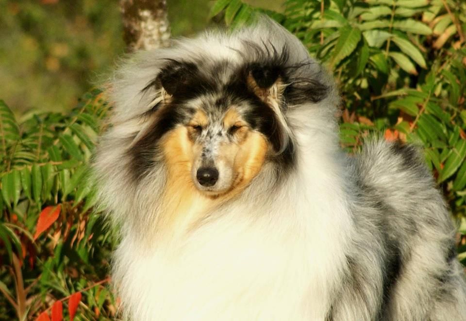 Publication : du domaine des Emeraudes Auteur : cyril