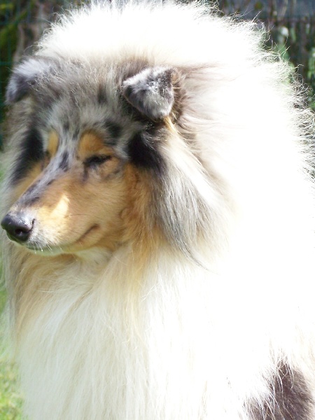 Publication : du domaine des Emeraudes Auteur : cyril