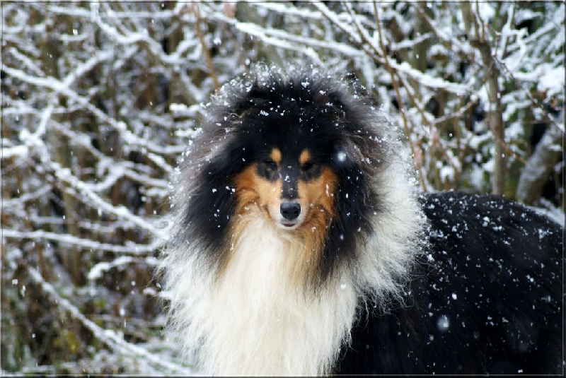 Publication : du domaine des Emeraudes Auteur : cyril