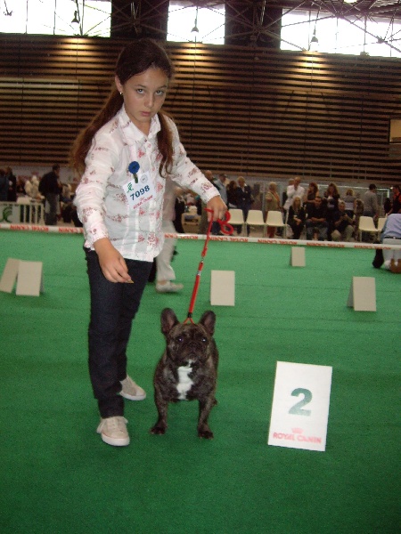 Agamemnon de la font de Nimes - 2EM EXCELLENT