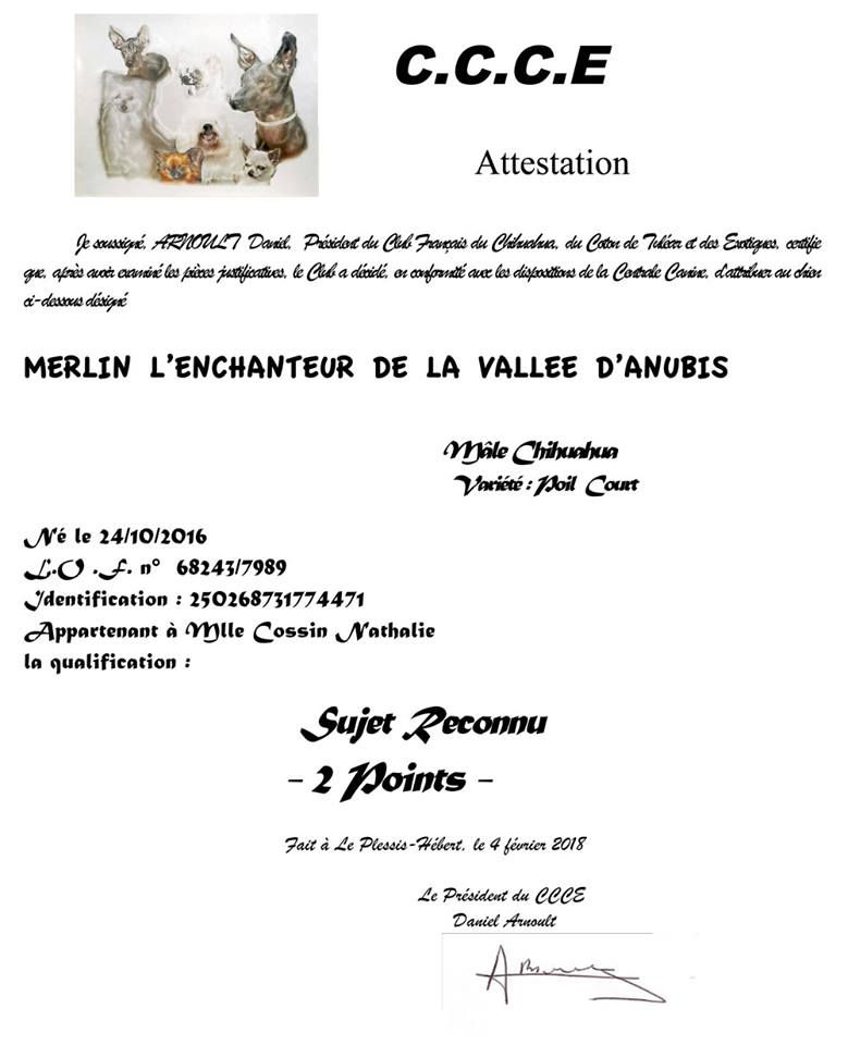 Merlin l'enchanteur De la vallée d'Anubis