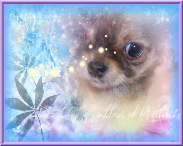 D'jason De la vallée d'Anubis