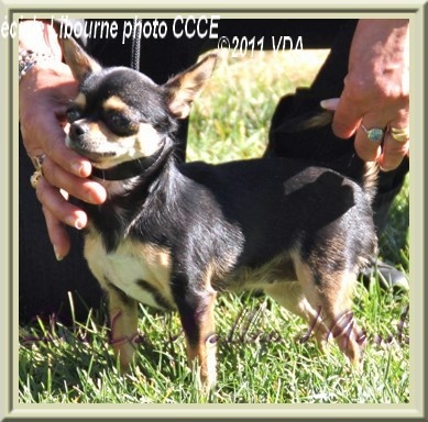 Feeling Des muses du haut forez - 2 ème EXC