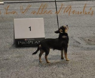 Feeling Des muses du haut forez - 1 ere EXC