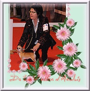 Emeraude Of wyldsmoor - EXC