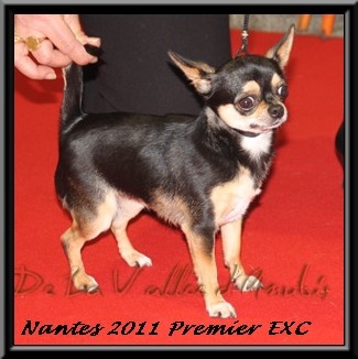 Feeling Des muses du haut forez - 4 eme TB /6