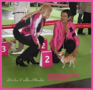 Emeraude Of wyldsmoor - 2 ème EXC