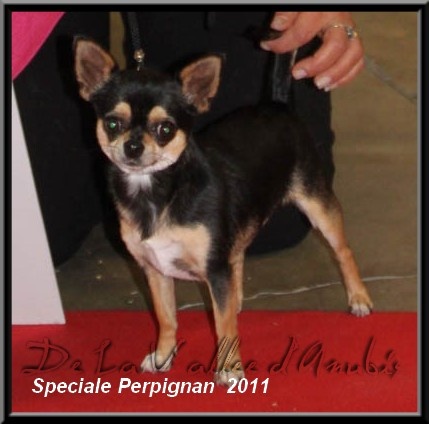 Feeling Des muses du haut forez - 4 eme EXC /8