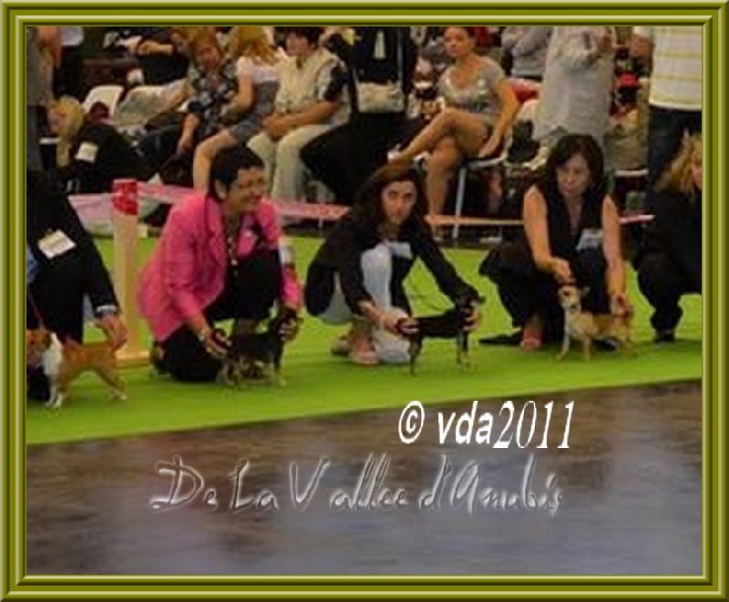 Feeling Des muses du haut forez - Bon