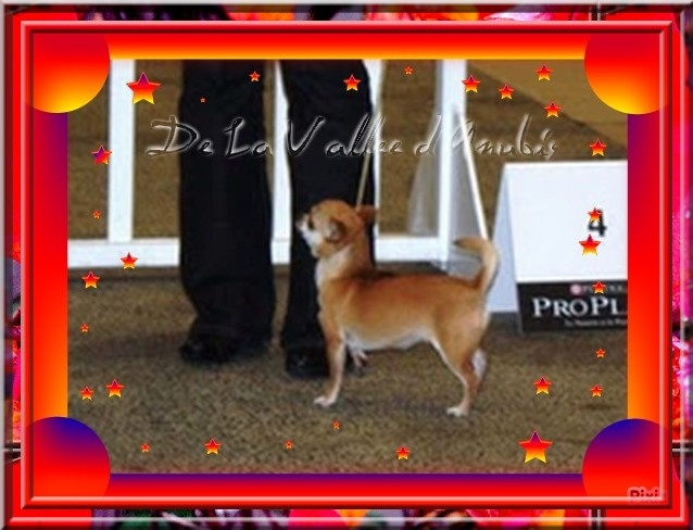 Emeraude Of wyldsmoor - 3 ème EXC