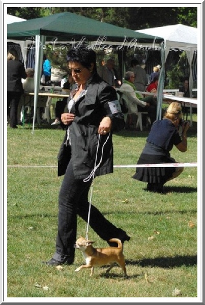 Emeraude Of wyldsmoor - 4 ème EXC