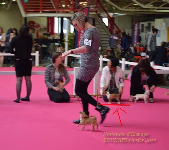 Merlin l'enchanteur De la vallée d'Anubis - TP (tres prometteur) Classe BABBY