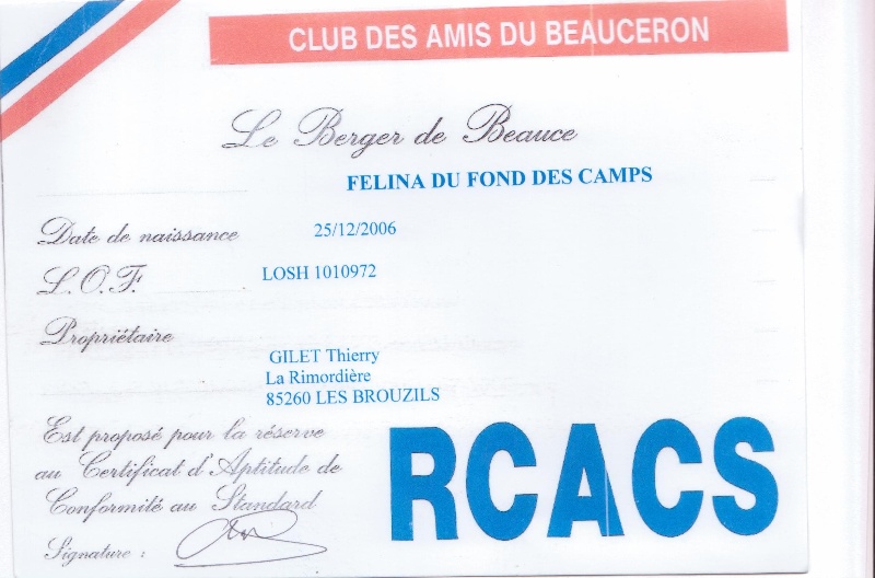 Félina du Fond des Camps - 1ère classe ouverte et RCACS