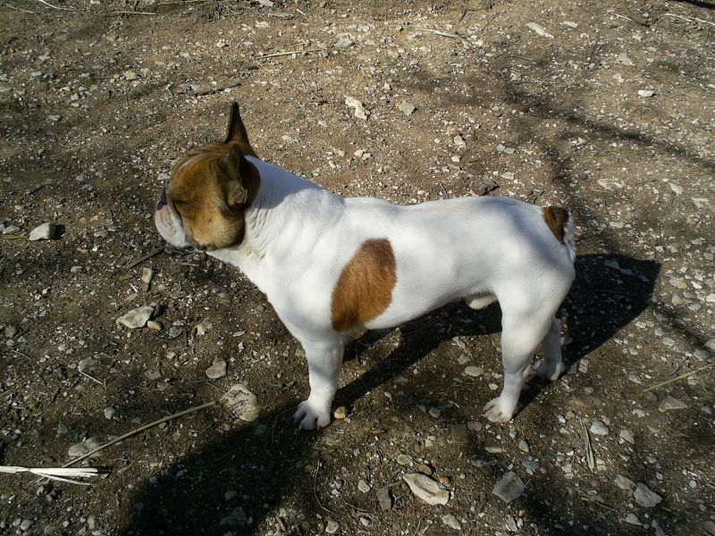 Publication : du Hogan des Vents Auteur : Mathieu Mauriès