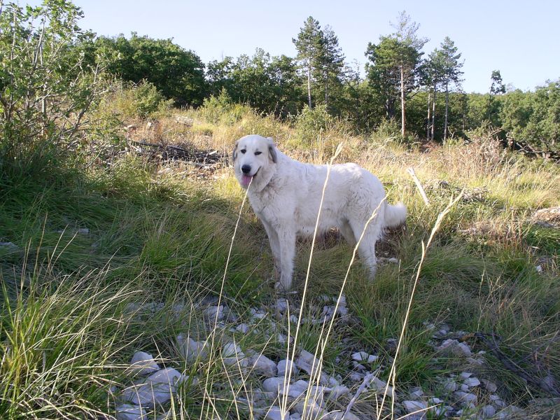 Publication : du Hogan des Vents