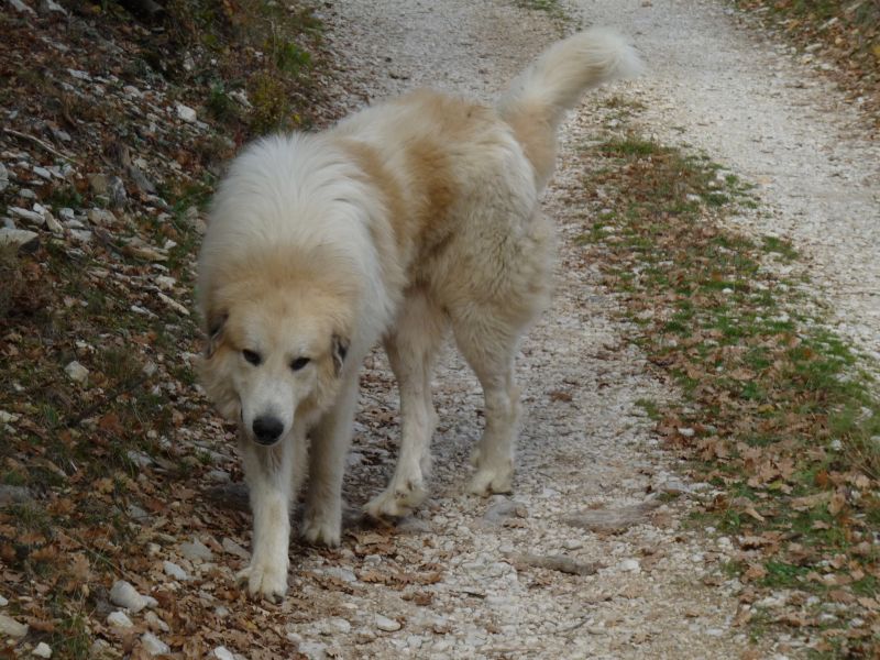 Publication : du Hogan des Vents Auteur : Mathieu Mauriès