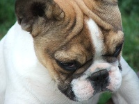 Publication : du Hogan des Vents Auteur : Mathieu Mauriès