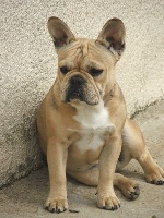 Publication : du Hogan des Vents Auteur : Mathieu Mauriès