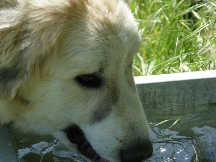 Publication : du Hogan des Vents Auteur : Mathieu Mauriès