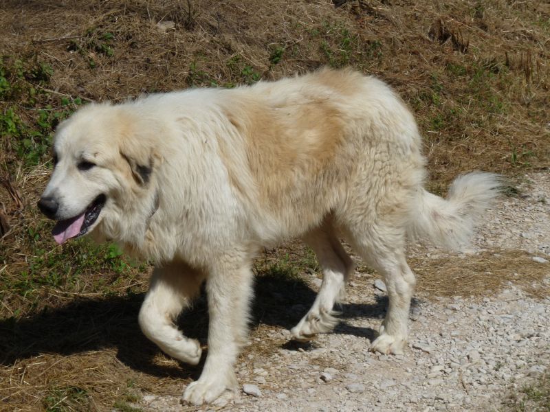 Publication : du Hogan des Vents Auteur : Mathieu Mauriès