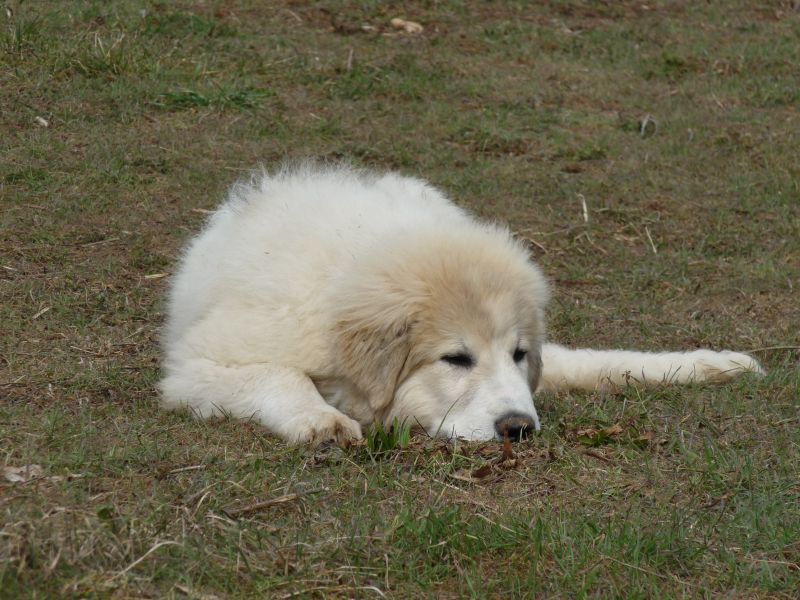 Publication : du Hogan des Vents Auteur : Mathieu Mauriès