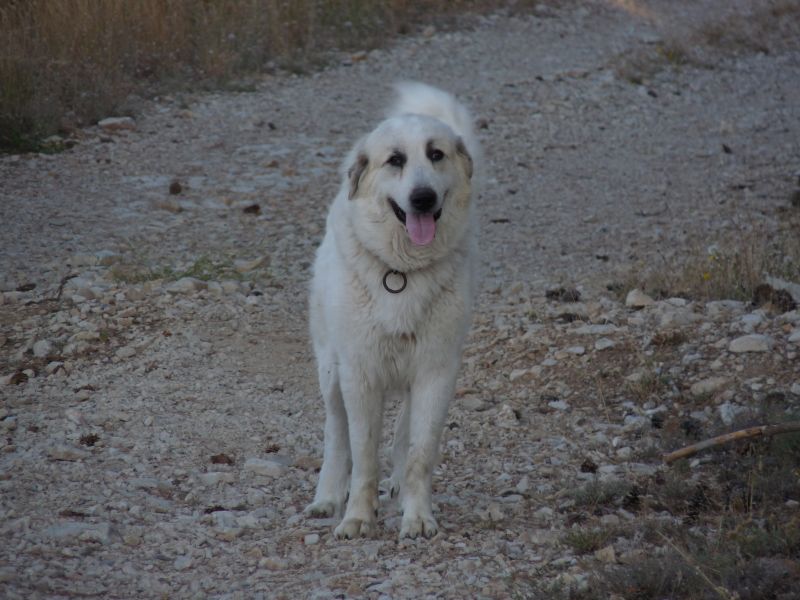 Publication : du Hogan des Vents Auteur : Mathieu Mauriès