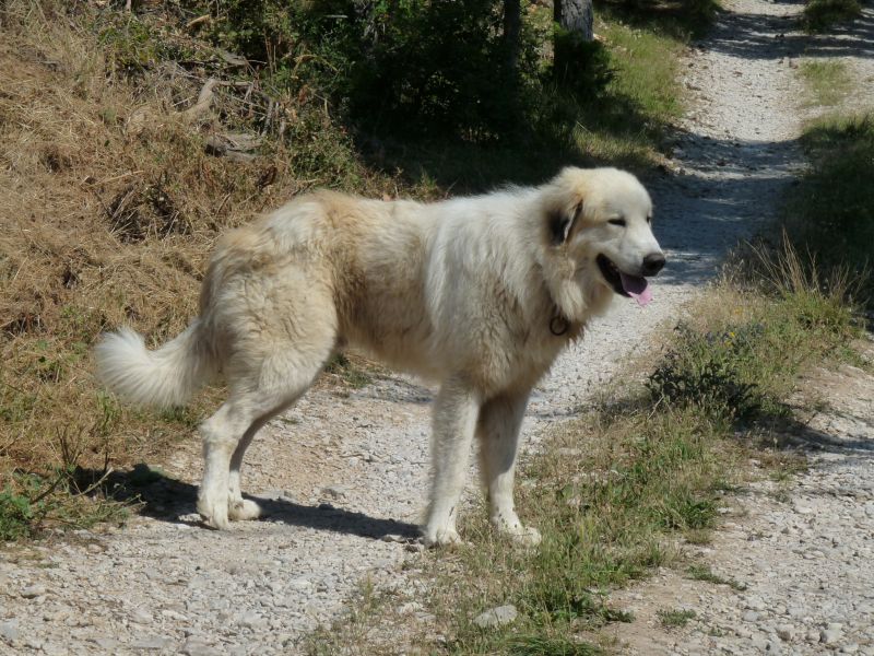 Publication : du Hogan des Vents Auteur : Mathieu Mauriès