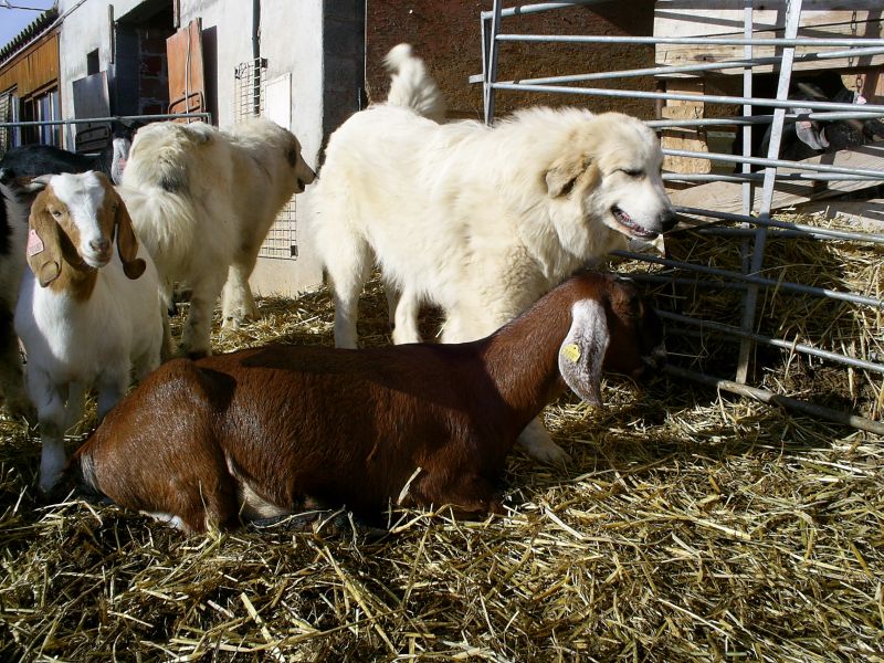 Publication : du Hogan des Vents