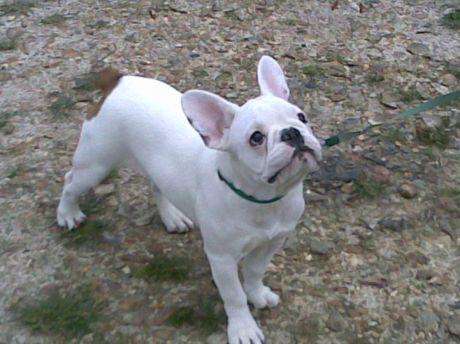 Publication : du Hogan des Vents Auteur : Mathieu Mauriès