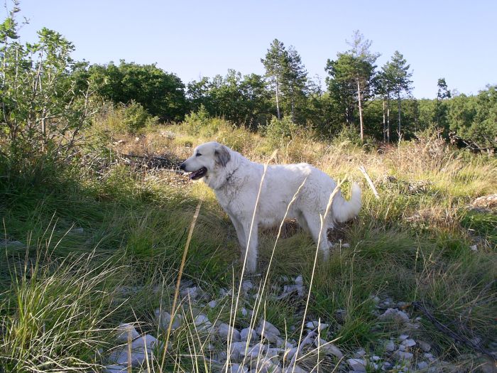 Publication : du Hogan des Vents