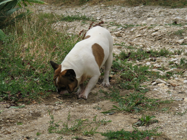 Publication : du Hogan des Vents Auteur : Mathieu Mauriès