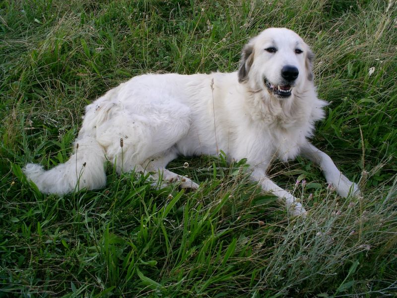 Publication : du Hogan des Vents