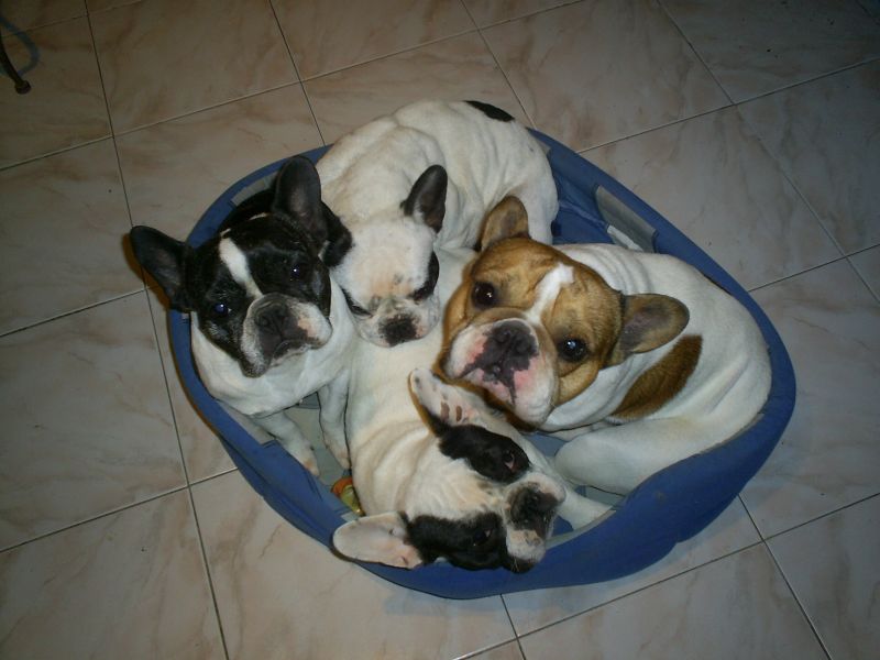 Publication : du Hogan des Vents Auteur : Mathieu Mauriès