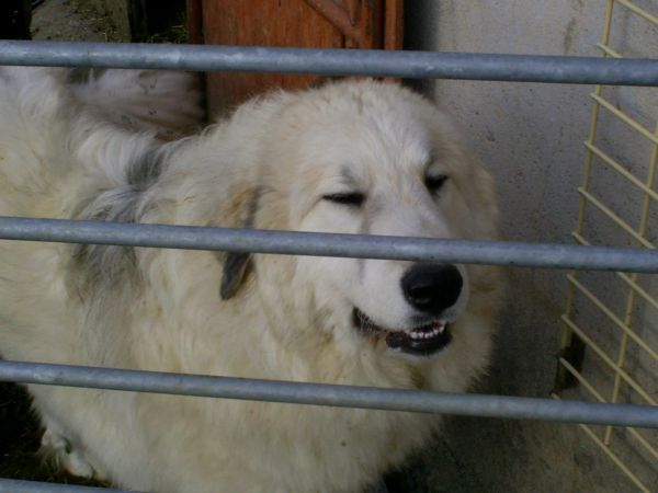 Publication : du Hogan des Vents Auteur : Mathieu Mauriès