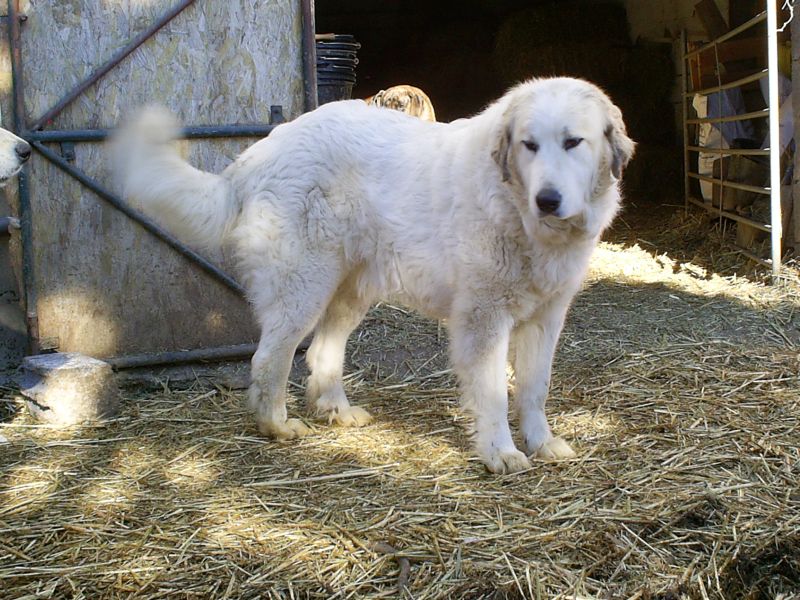 Publication : du Hogan des Vents