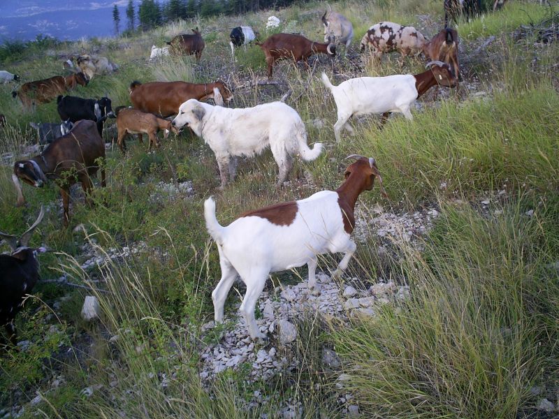 Publication : du Hogan des Vents