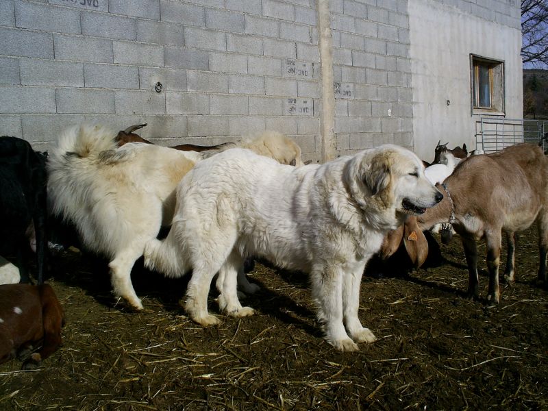 Publication : du Hogan des Vents