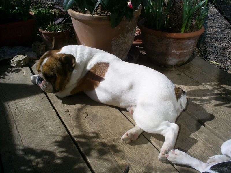 Publication : du Hogan des Vents Auteur : Mathieu Mauriès