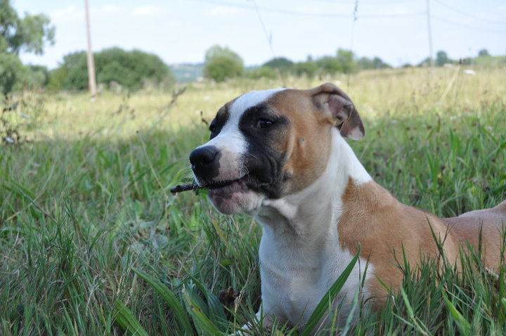 Fatal beauty du Domaine de Kheops