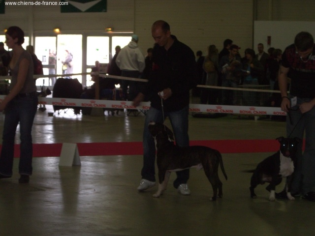 Barry white du domaine de Zeus - Très Bon