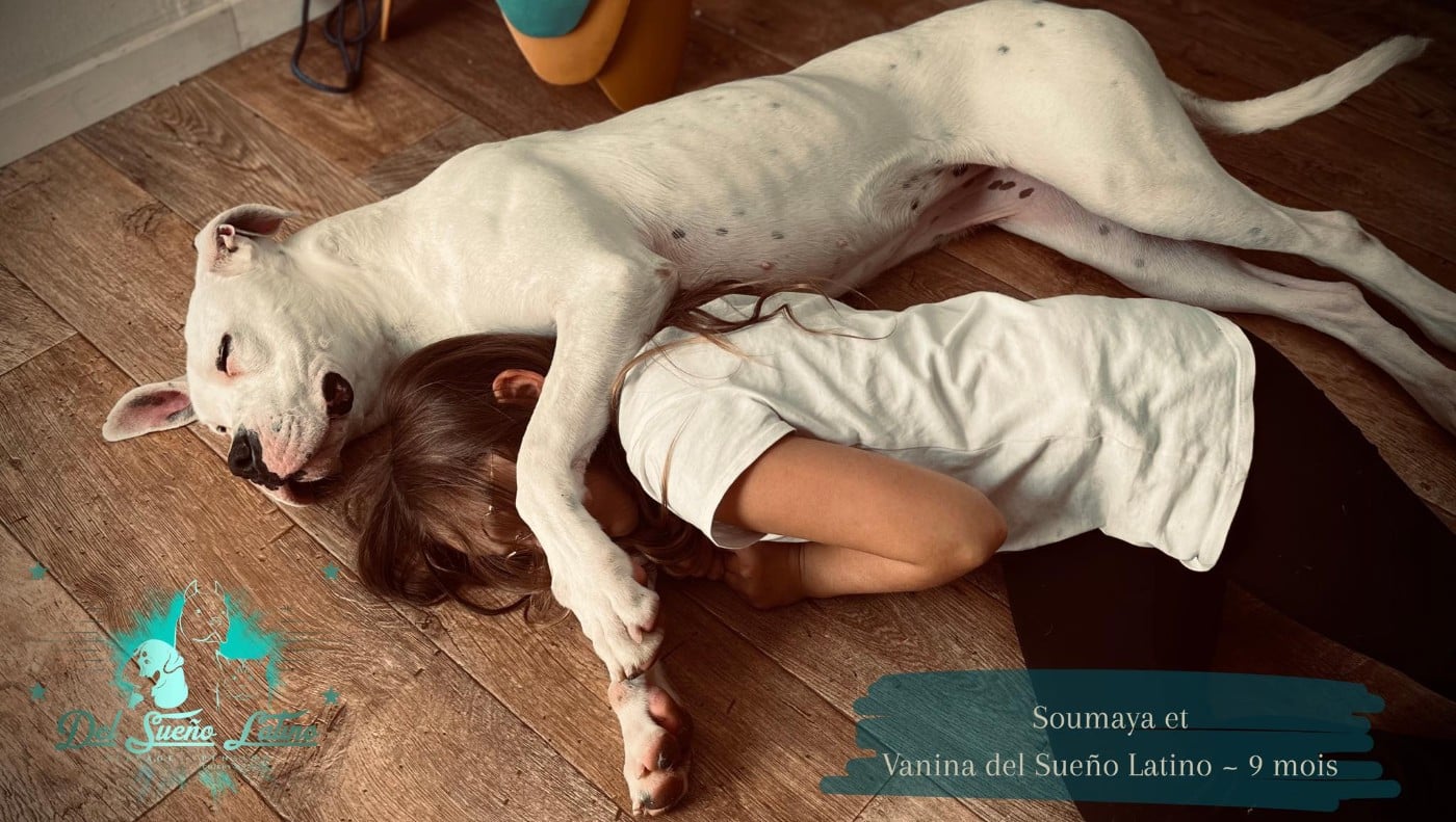 VANINA del Sueno Latino