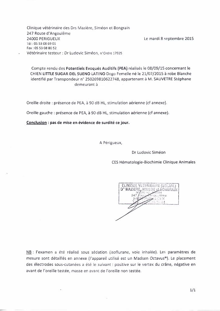 Little sugar del Sueno Latino