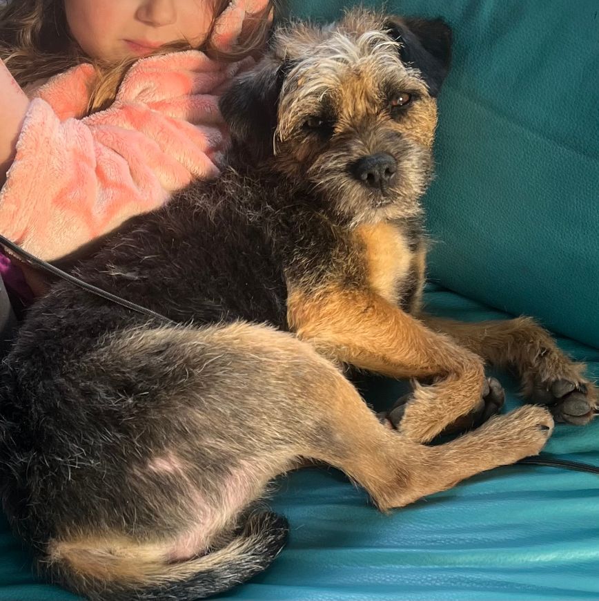 Terez Des Brumes De Kalhan