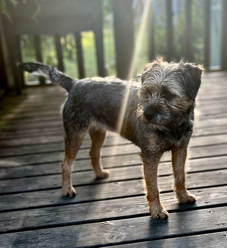 Terez Des Brumes De Kalhan