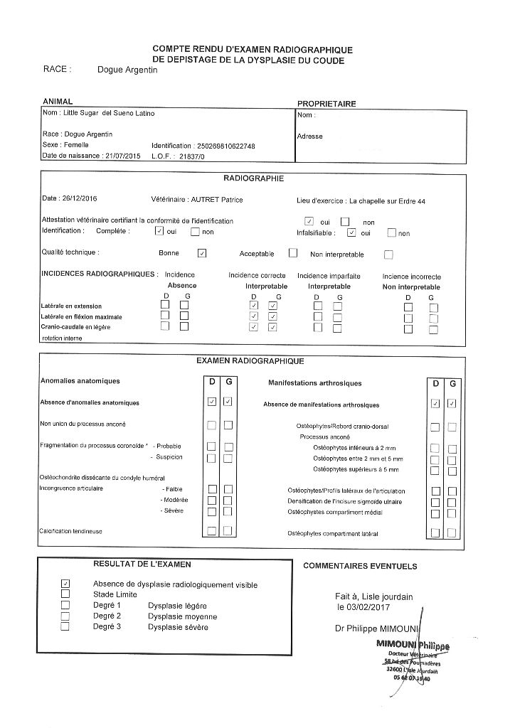 Little sugar del Sueno Latino